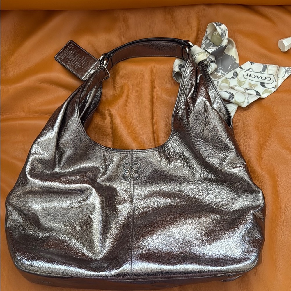 Metallic Brown Women's Bag